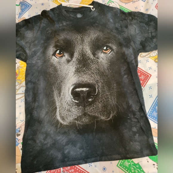 Black lab the mountain size XL t-shirt - Picture 1 of 5